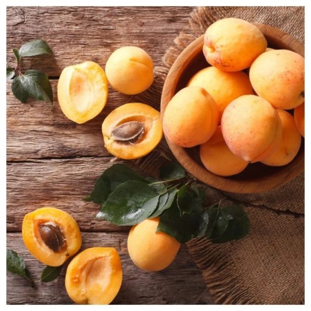 Nettare di Albicocca